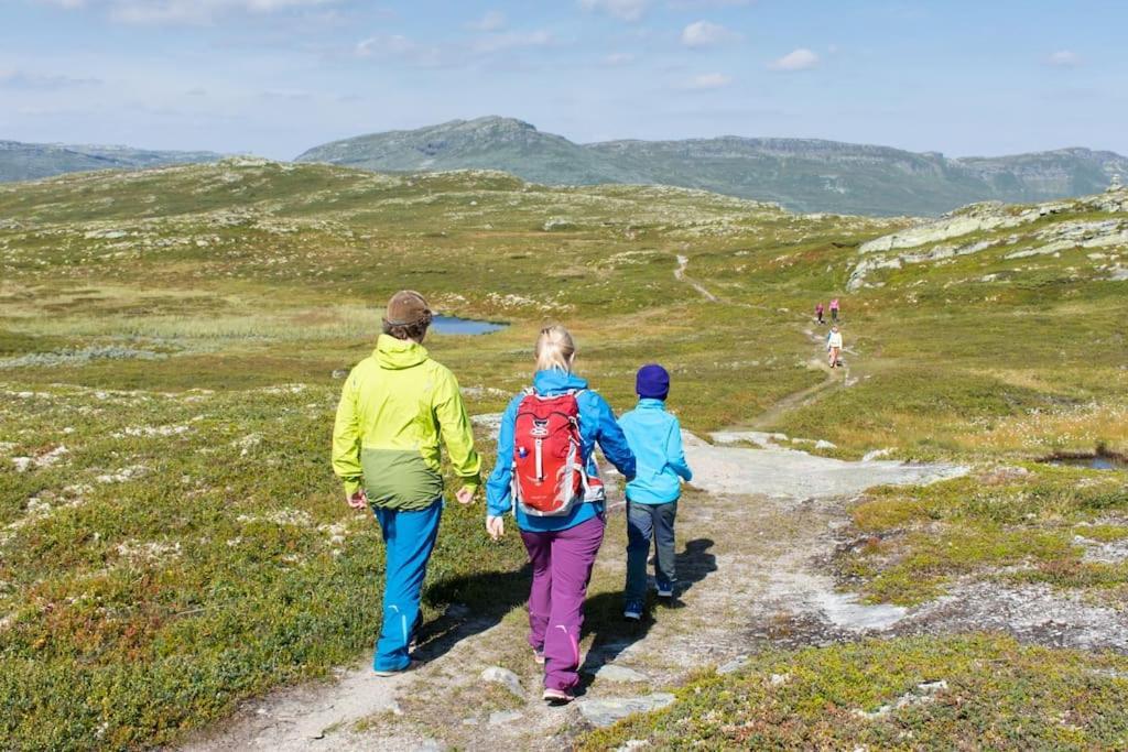 Skeikampen Leilighet, Veslesetervegen 973 F Lejlighed Svingvoll Eksteriør billede